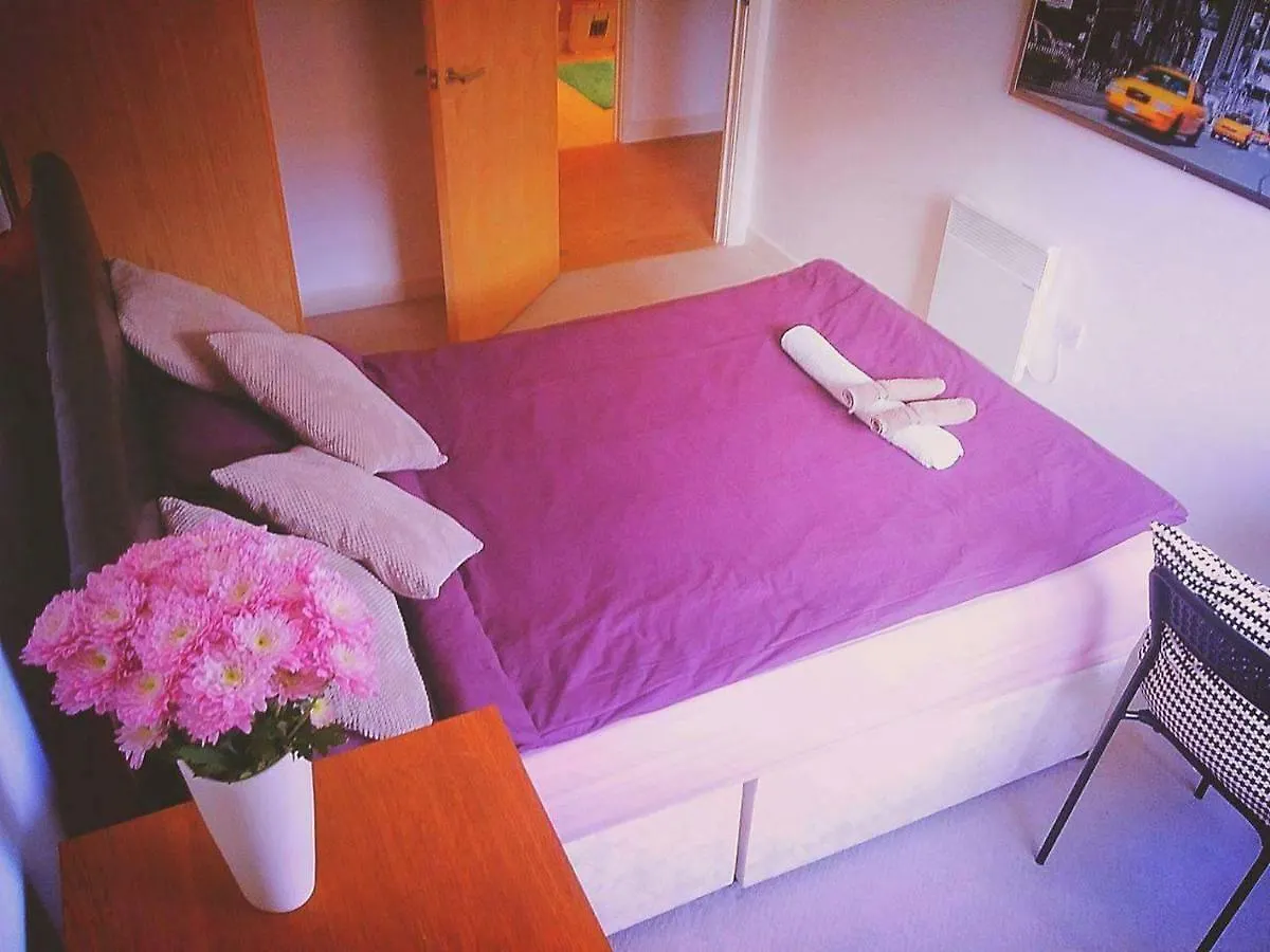 Modern Lovely Bedroom Close To Stations In East London, Zone 2 Homestay London